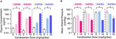 Systemic Candesartan Treatment Modulates Behavior, Synaptic Protein Levels, and Neuroinflammation in Female Mice That Express Human APOE4